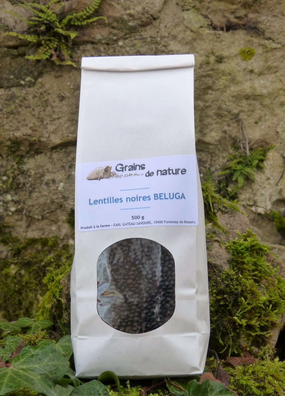 Lentilles Noires Beluga 500g 500 G Grains De Nature Locavor Fr