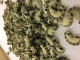 Pastadélices / Croustidélices - image 1