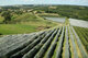 Earl Des 7 Vents - image 3
