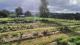 Le Grenier Des Plantes - image 2