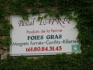 Logo de Pascal Laprée