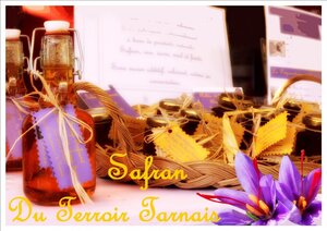 Logo de Safran Du Terroir Tarnais