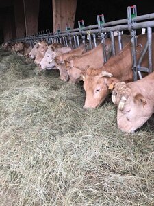Logo de Ferme Bretou