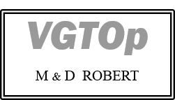Logo de Vgtop