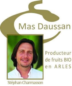 Logo de Mas Daussan