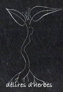 Logo de Délires D'herbes