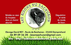 Logo de Les Bisons Du Sachuron