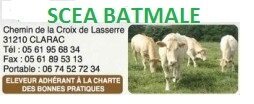 Logo de Scea Batmale