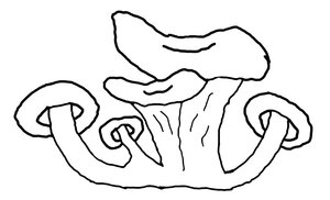 Logo de Champimignon Earl Depretto
