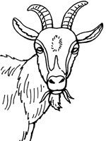 Logo de Earl Moreau Frédéric & Katia