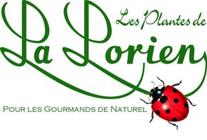 Logo de Les Plantes De La Lorien