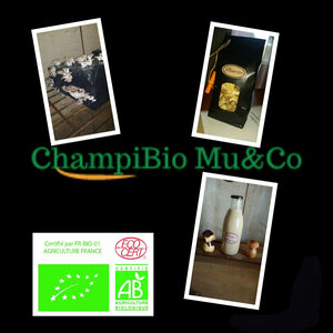 Logo de Champibio Mu&co