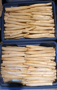 Logo de Asperges De Fouchères