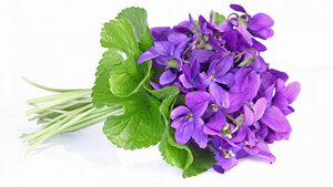 Logo de Le Fournil De Violette 