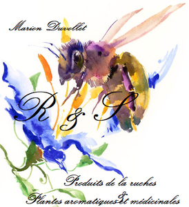 Logo de Ruches & Simples
