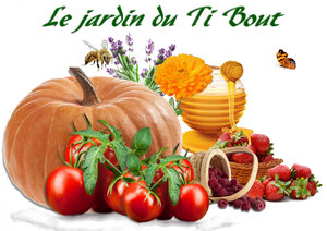 Logo de Le Jardin Du Ti Bout