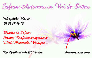 Logo de Safran Automne En Val De Saône