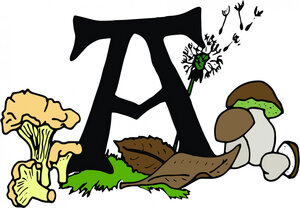 Logo de Les Récoltes D' Amaia
