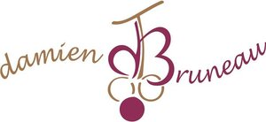 Logo de Domaine Damien Bruneau