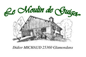 Logo de Didier Michaud