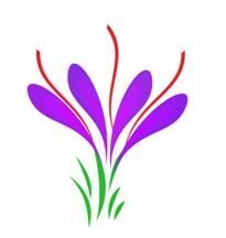 Logo de Safran de ste foy