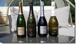 Logo de Champagne Baroni