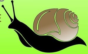 Logo de Mille Et Une Coquilles