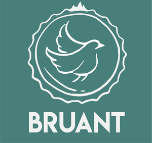 Logo Brasserie Du Bruant