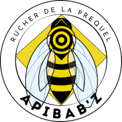 Logo de Apibab'z