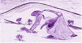 Logo de Aux Vertus Des Plantes
