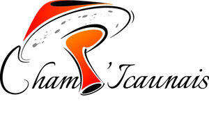 Logo de Champ'icaunais