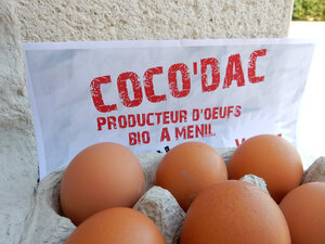 Logo de Coco'dac