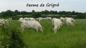 Logo de Earl Ferme De Grigne