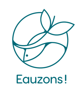 Logo de Eauzons