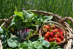 Logo de Ferme De La Malécotais
