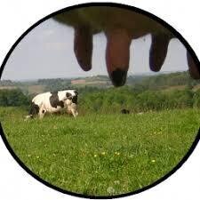 Logo de Ferme Peyrecor