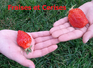 Logo de Fraises Et Cerises
