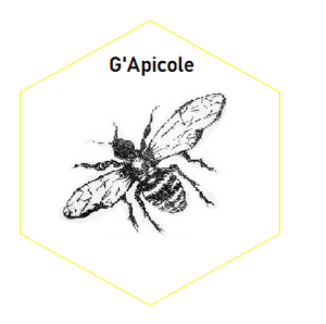 Logo de G'apicole - Les Ruches De La Courtavaux