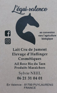 Logo de L'équi-valence