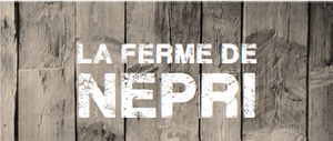 Logo de Le Grenier De Népri