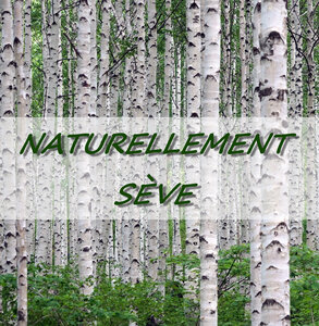 Logo de Naturellement Seve