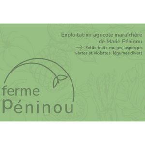 Logo de Péninou Marie
