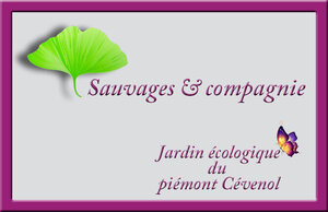 Logo de Sauvages Et Compagnie