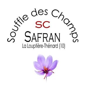 Logo de Safran Souffle Des Champs
