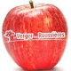 Logo Vergers Des Roussieres