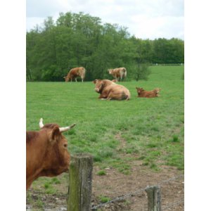 Ferme la Bussière