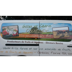 Douillet Gilles