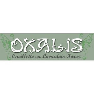 Oxalis