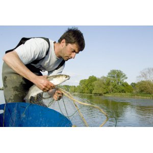 Pêcheurs de Loire