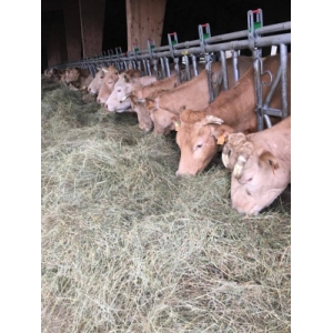 Ferme Bretou